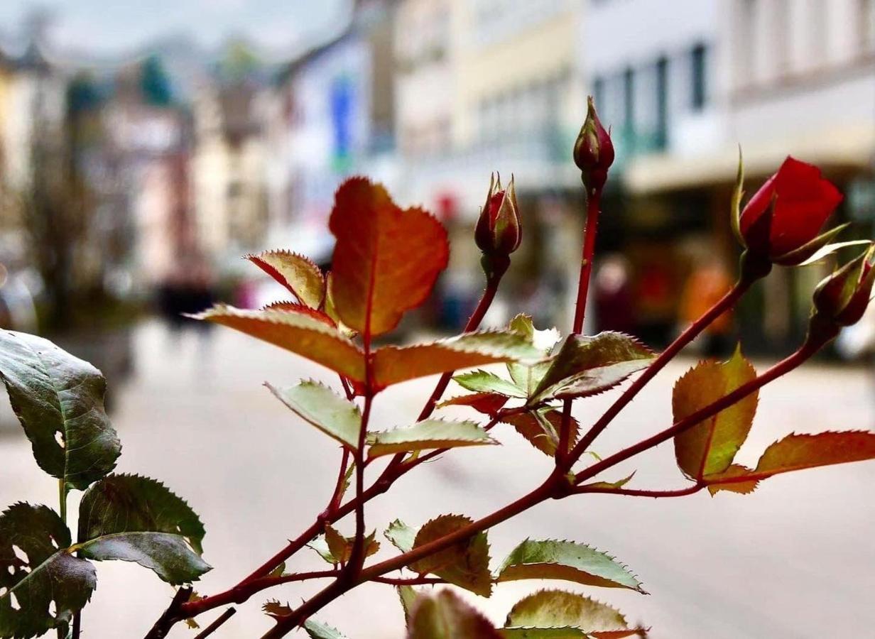 Das-Lagerhaus-Kleine-Oase Apartment Zweibrücken Екстериор снимка